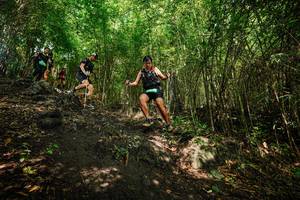 BIB: 
                            <button type="button" onclick="openModal(25096313)" class="btn btn-primary btn-sm float-right btn-popup" data-toggle="modal" data-target=".modal-high-quality">
                        <i class="fas fa-shopping-cart"></i> Add to Cart
                    </button>
                                            <button type="button" onclick="isThisMe(25096313, true)" class="btn btn-success btn-sm float-right btn-popup btn-isme hidden" data-toggle="tooltip" data-placement="bottom" title="นี่คือรูปของคุณใช่ไหม คลิกที่นี่เพื่อเอาเข้าอัลบั้ม">
                        <i class="fas fa-plus"></i> Add to album
                    </button>
                    <button type="button" onclick="isThisMe(25096313, false)" class="btn btn-warning btn-sm float-right btn-popup btn-isnotme hidden">
                        <i class="fas fa-ban"></i> Remove from album
                    </button>